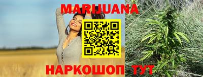 прущие грибы Можайск