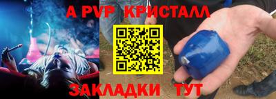 прущие грибы Можайск