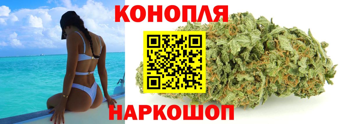 МАРИХУАНА сатива Волжск
